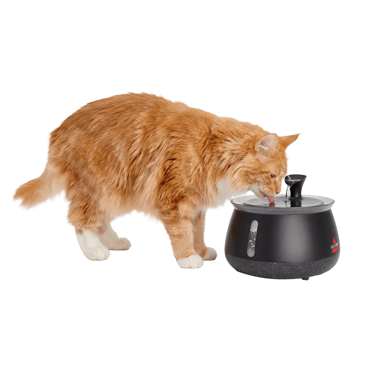 moving water + a slime shield makes all the difference 🐈 #petwaterfountain #petwaterdispenser #catwaterfountain #catparent #cattok 