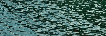 avatar_no测试